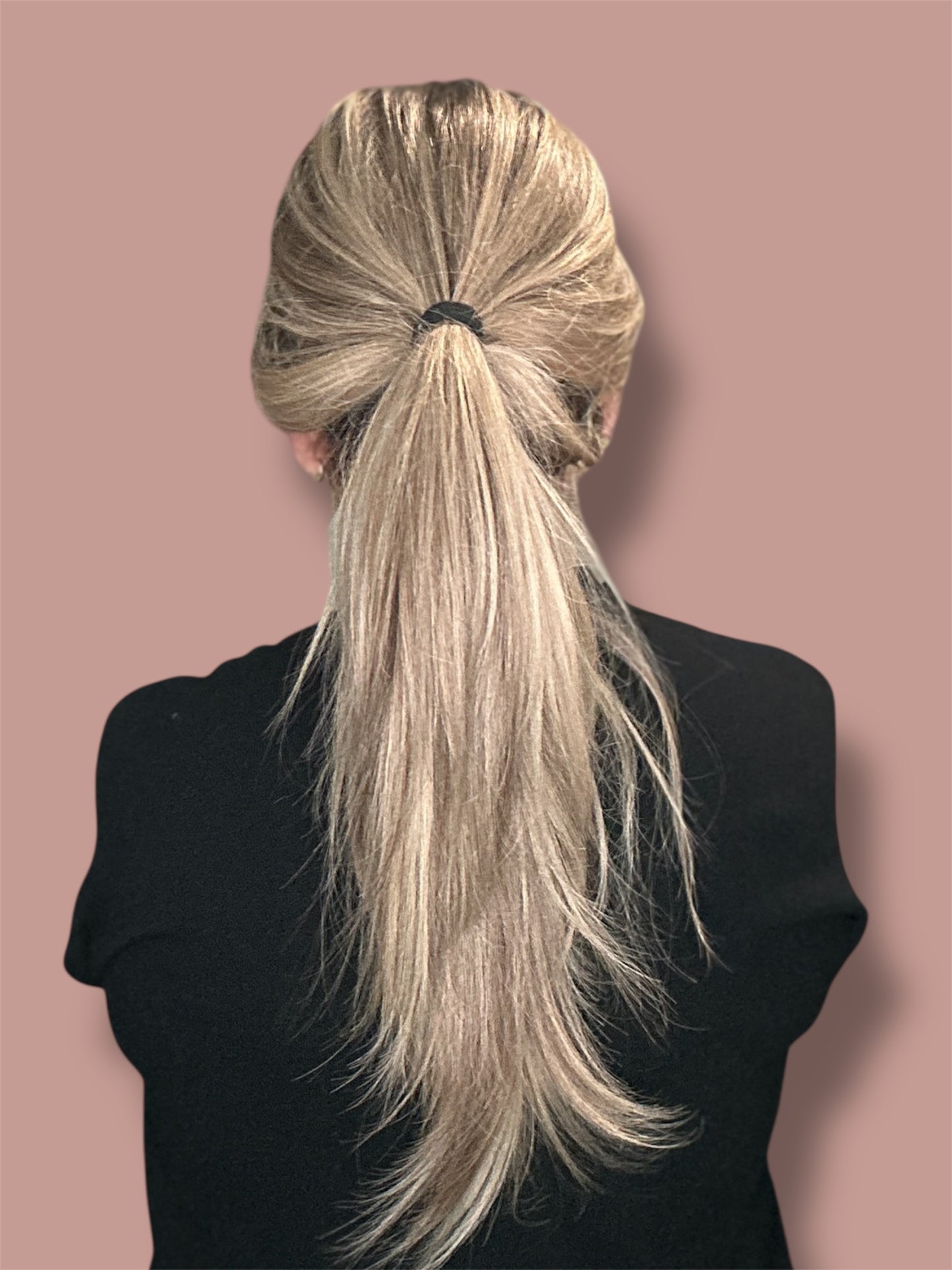 Lu's Ponytail Wig