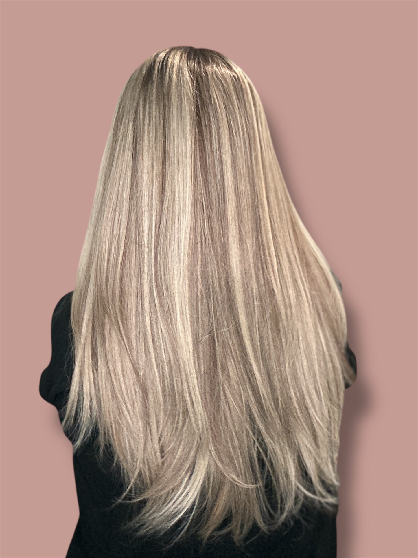 Lu's Ponytail Wig